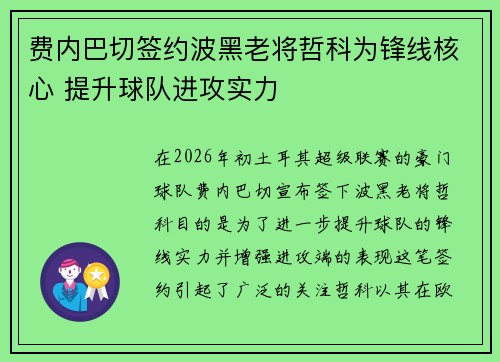 费内巴切签约波黑老将哲科为锋线核心 提升球队进攻实力